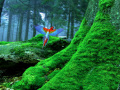 Birds Forest Escape