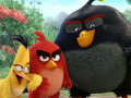 The Angry Birds Movie Online
