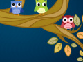 Owls Relocation