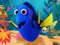Finding and Releasing Dory