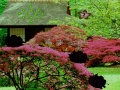 Seasonal Garden Escape