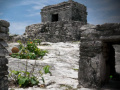 Mystery of Mayan Stone Escape