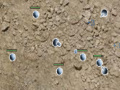 Area51 Tower Defense