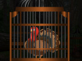 Thanksgiving Turkey Cage Escape