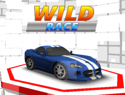 ワイルドレース 