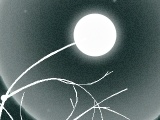 Axon