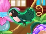 My Sweet Bird