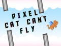 Pixel cat can't fly