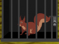 Squirrel Cage Escape