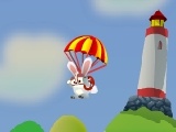 Flying Rabbit
