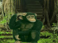 Chimpanzee Forest Escape