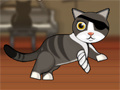Pirate Cat With Broken Leg
