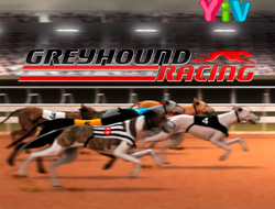 グレイハウンドレーシング .