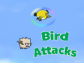 Birds Attacks