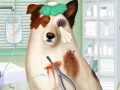 Doctor For Dog With a Blog