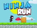 Ninja Run 