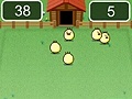 Corral chickens in a chicken coop