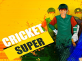 Super Cricket      