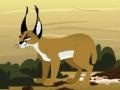 Caracal Leap