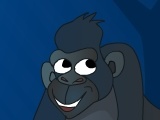 Gorillas in the Jungle