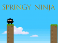 Springy Ninja