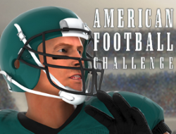 アメリカンフットボールチャレンジ .