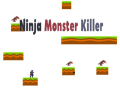 Ninja Monster Killer