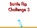 Bottle Flip Challenge 3