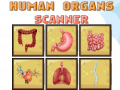 Human Organs Scanner