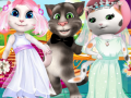 White Kittens Bride Contest