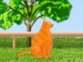 Combat cat