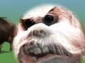 Yeti bloody