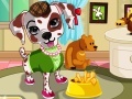 Dalmatian dress up