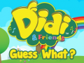 Didi & Friends Guess What?