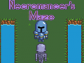 Necromancer's Maze