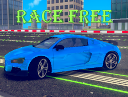レースフリー 