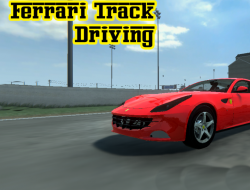 フェラーリトラック運転 