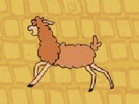 Lama drama