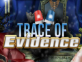 Trace of Evidence