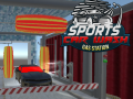 Sports Car Wash