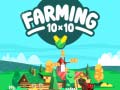 Farming 10x10 