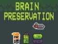 Brain preservation