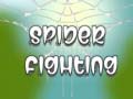 Spider Fight