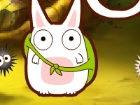 Color rabbit
