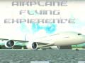 Airplane Flying Expierence