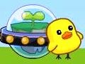 Chicken Home