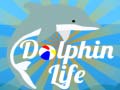 Dolphin Life