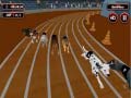 Crazyl Dog Racing Fever