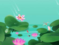 蓮の花 
