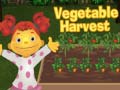 Vegetable Harvest